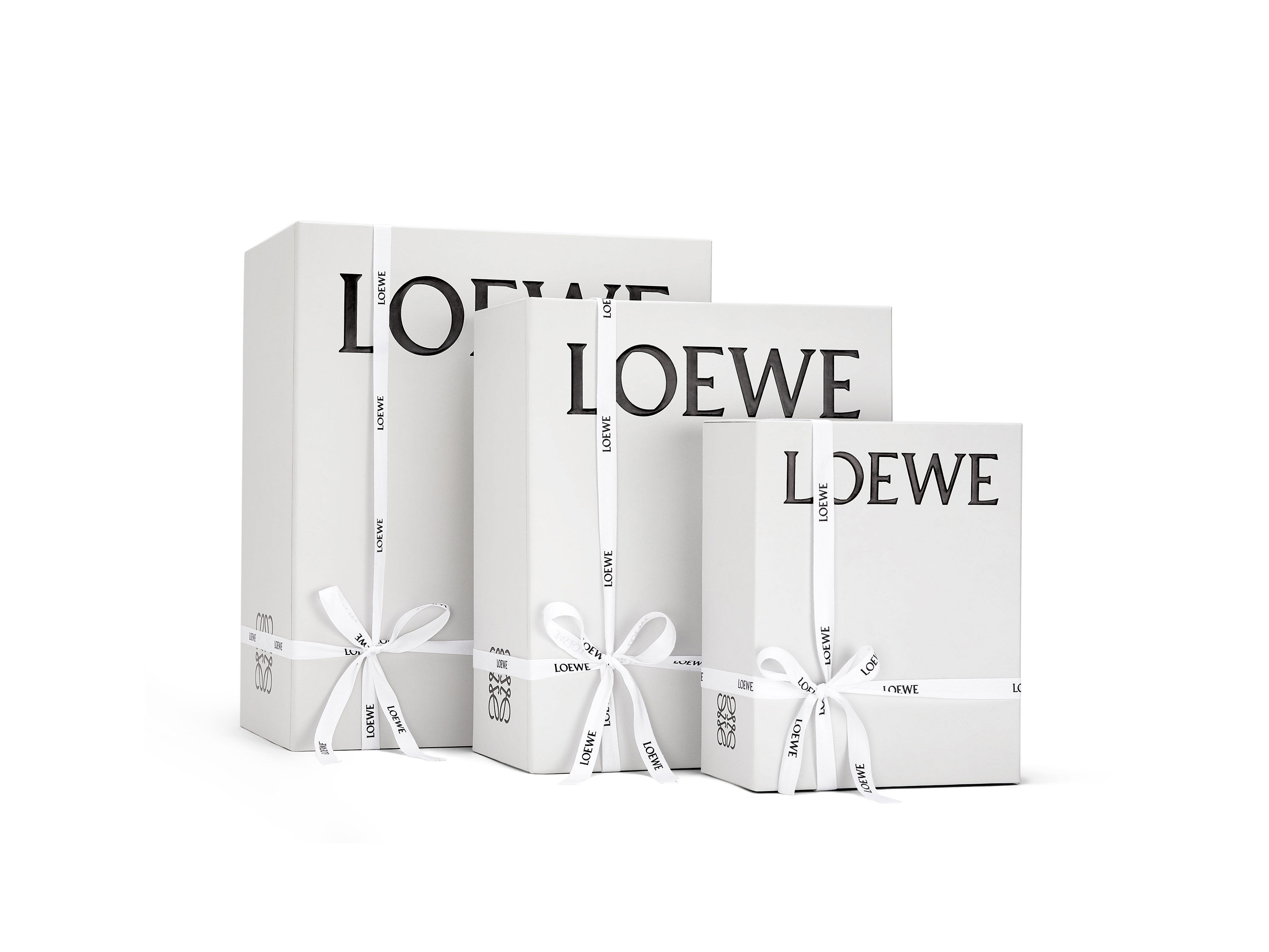 Loewe official website top